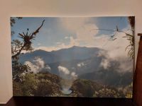 Bild - 70 x 105 - Ecuador (Bella Vista Cloud Forest) München - Laim Vorschau