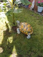 Riesen Schildkröte XXL Niedersachsen - Bissendorf Vorschau