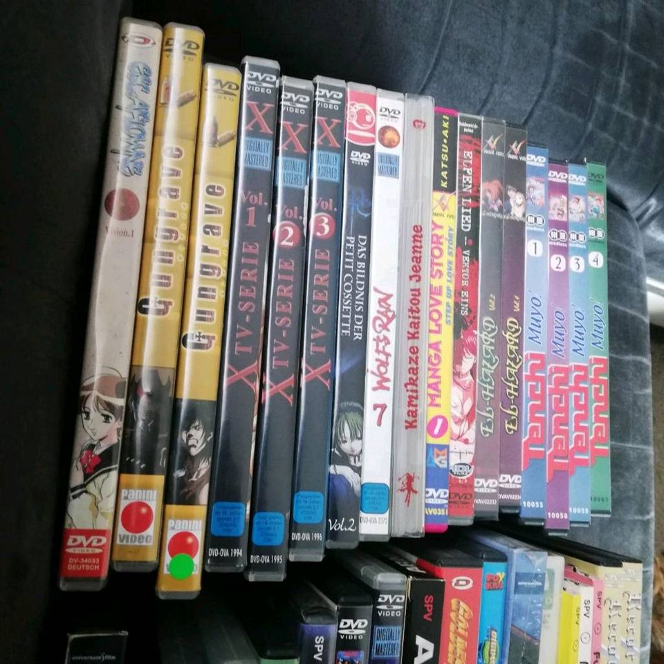 Manga DVD Golden Boy perfect blue Kamikaze Diebin Wolfs Rain in Gemünden a. Main