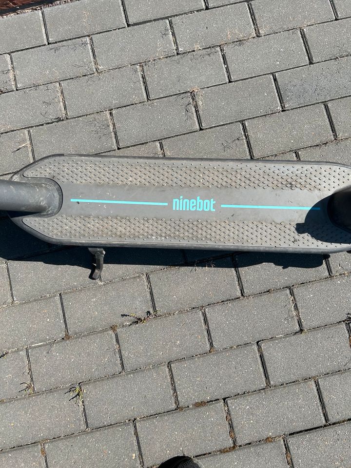 E Scooter Ninebot g30d mit 65 km Reichweite in Celle