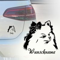 Auto Aufkleber | Wunschname  | Zwergspitz |Pomeranian | Spitz Köln - Köln Merheim Vorschau