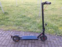 E- Scooter mit Straßenzulassung Sachsen - Eilenburg Vorschau