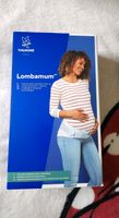 Bauchgurt für die Schwangerschaft Dresden - Löbtau-Süd Vorschau