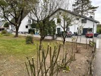 Dienstleistung in Garten Gartenbau Landschaftsbau Haus Hof Bayern - Schierling Vorschau