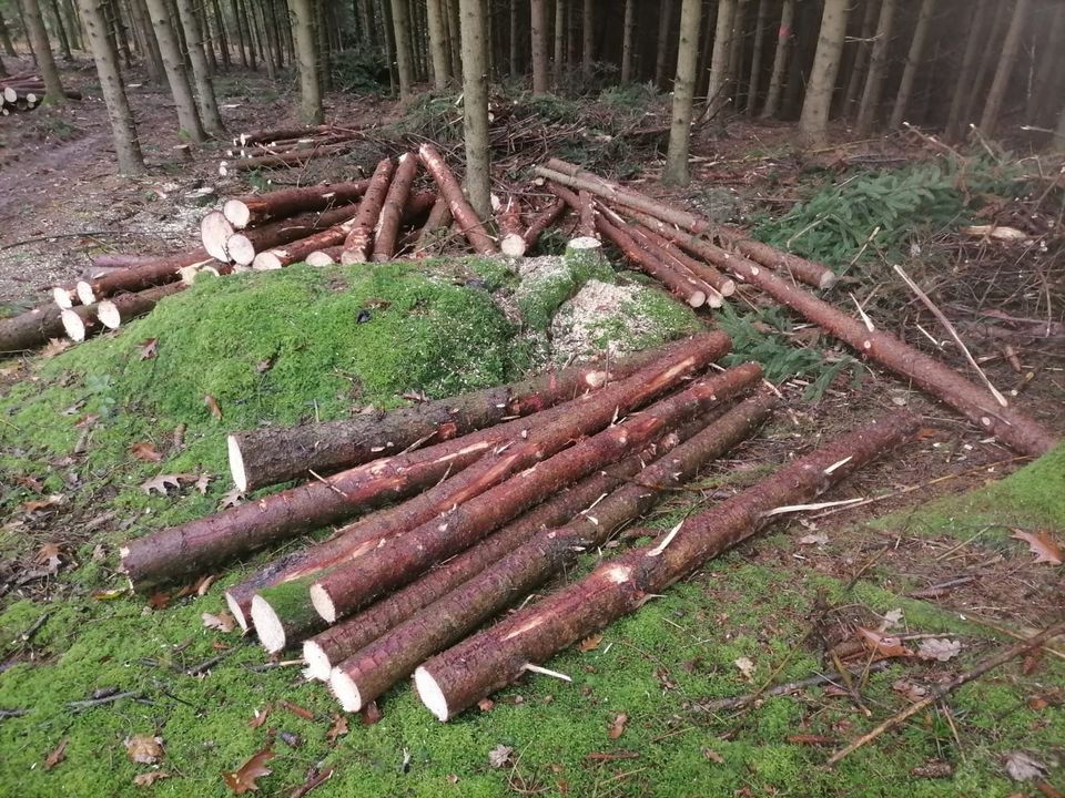 Brennholz Fichte Holz Ofenholz Ofen !!Lieferung möglich !! in Bad Griesbach