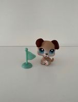 Littlest Pet Shop Spielfigur Hund #143 / Sammelfigur LPS Hessen - Hanau Vorschau