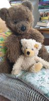 Steiff Teddybär (12838),/ Kuscheltiere-10 Stück, /Braun Bär Nordrhein-Westfalen - Hilchenbach Vorschau