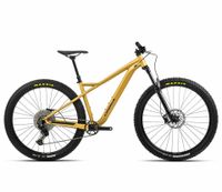 *SALE* Orbea Laufey H30 Rahmengröße L / NEU Nordrhein-Westfalen - Borchen Vorschau