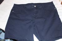 blaue Damenshort in der Größe 48 Sachsen-Anhalt - Sülzetal Vorschau
