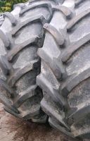 580/70R38 Firestone  580/70/38 Niedersachsen - Delmenhorst Vorschau