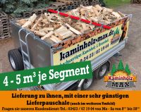 ab 4 m³ bis 35 m³ -  bis 40 Km um Halle Merseburg Petersberg Wettin Kaminholz, Brennholz, Feuerholz, Holzvergaser, Kamin, Holz, Feuer, Brenn Sachsen-Anhalt - Halle Vorschau