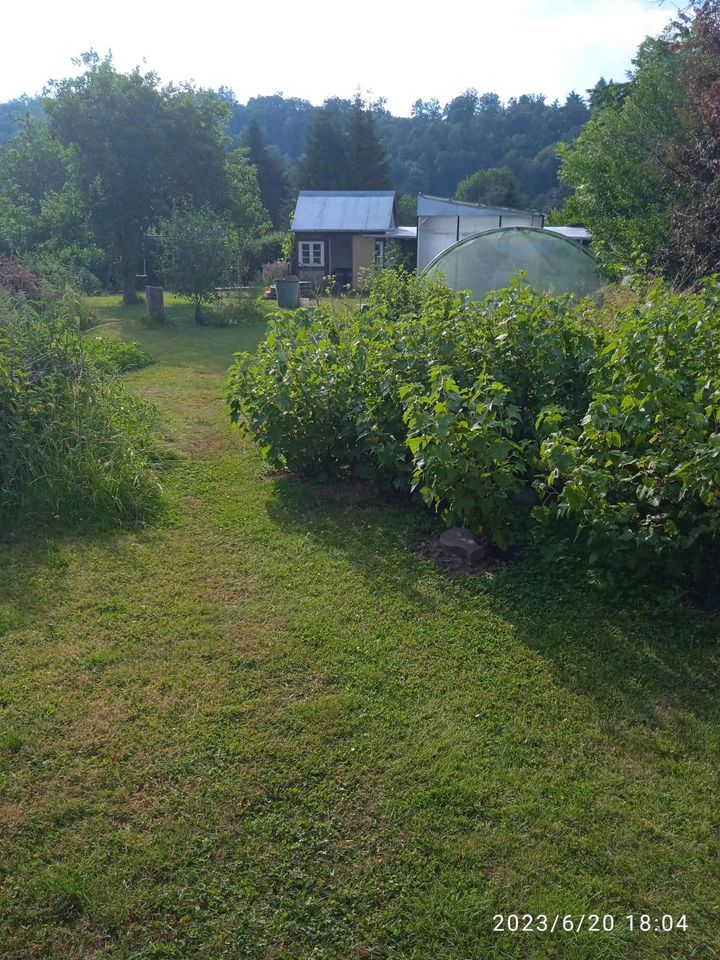 Schrebergarten in Frankenberg (Eder)