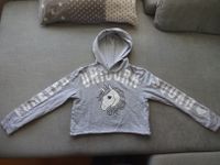 Hoodie Kapuzenpullover Pulli Unicorn Einhorn grau H & M Gr. 146 Schleswig-Holstein - Flintbek Vorschau