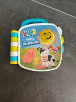 Fisher Price Buch Baden-Württemberg - Winnenden Vorschau