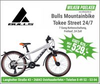 Bulls Tokee Street Grau 24 Zoll 7 Gang Kinderfahrrad Mountainbike Niedersachsen - Ostrhauderfehn Vorschau