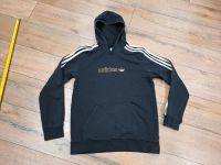 Hoodie Kapuzenpullover adidas 158/164 Bayern - Lauf a.d. Pegnitz Vorschau