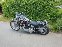 Harley-Davidson Springer Softail Baden-Württemberg - Gundelsheim Vorschau