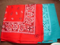 2 Stück Bandana Nikituch mintgrün rot  54x54 cm Bayern - Seefeld Vorschau