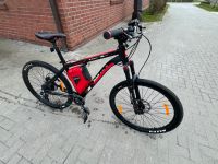 E-Bike Einhell Power X-Change fast neuwertig Mountainbike Schleswig-Holstein - Stelle-Wittenwurth Vorschau