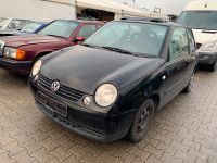 SCHLACHTFEST VW Lupo Ersatzteile Gebrauchtteile Auto teile köln Nordrhein-Westfalen - Köln Vogelsang Vorschau