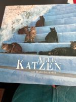 Alle Katzen, Hans Silvester Nordrhein-Westfalen - Hattingen Vorschau