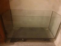 Terrarium 120x60x60 Nordrhein-Westfalen - Solingen Vorschau