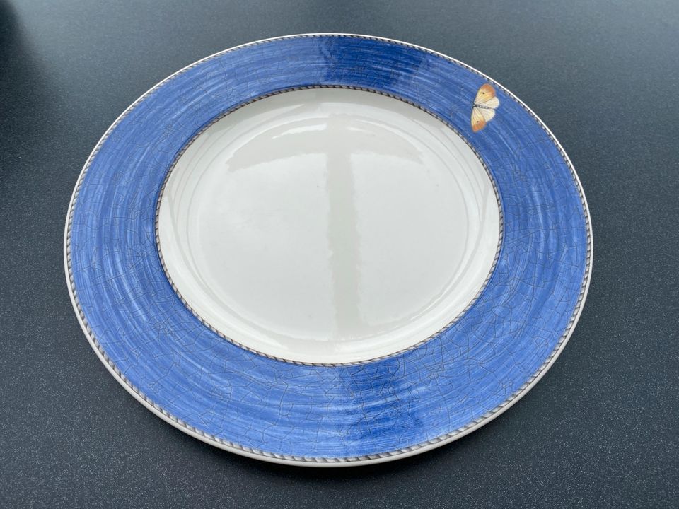 Wedgwood Speiseteller verschiedene Farben 27cm Durchmesser in Niederbergkirchen