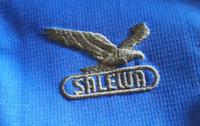 Salewa Outdoor Jacke S blau gore tex Hessen - Gießen Vorschau