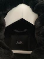 Zara Jacke s Rheinland-Pfalz - Bingen Vorschau