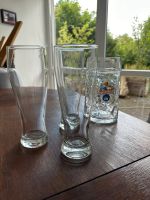 Drei Weizenbier Gläser und ein Maßkrug Nordrhein-Westfalen - Enger Vorschau