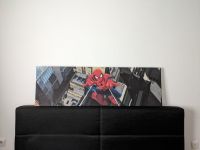 Spiderman Leinwand Neustadt - Alte Neustadt Vorschau