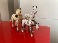 Schleich Horse Club 3 Pferde Knabstrupper Fohlen Nordrhein-Westfalen - Dülmen Vorschau