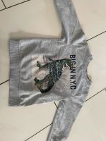 H&M Kinder 116 Tyrannosaurus Rex Pullover Palette Hessen - Kaufungen Vorschau