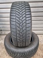 2x Winterreifen M+S 215/60R16 95H Dunlop Nordrhein-Westfalen - Detmold Vorschau