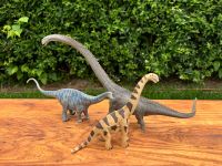 Schleich + CollectA 3x Dinosaurier u.a. Mamenchisaurus 38cm *Set* Bayern - Thalmässing Vorschau