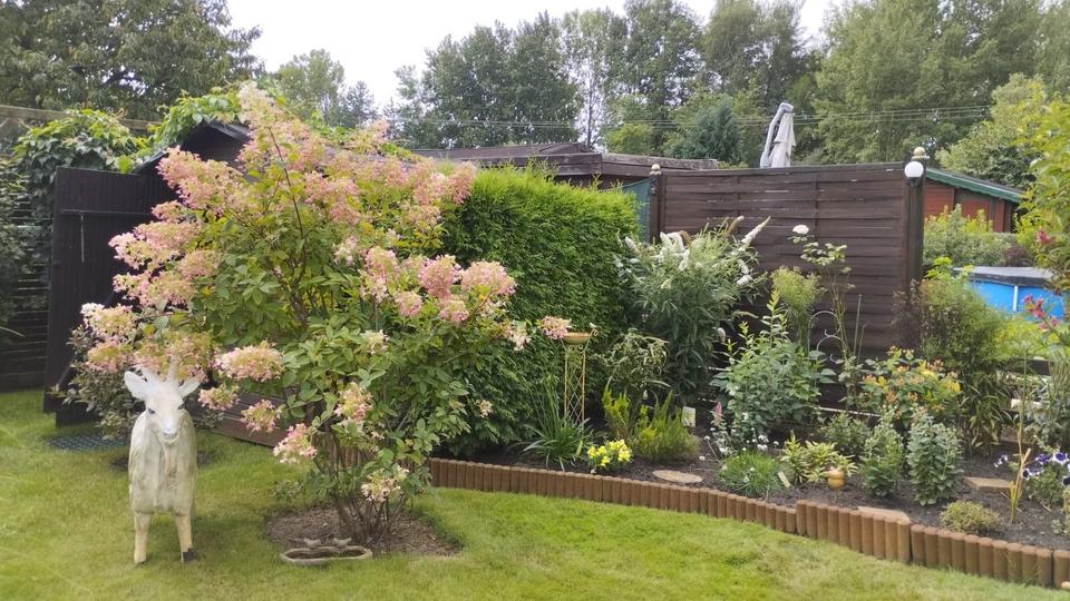 Kleingarten zu verkaufen in Brandenburg Cottbus Grundstück & Garten