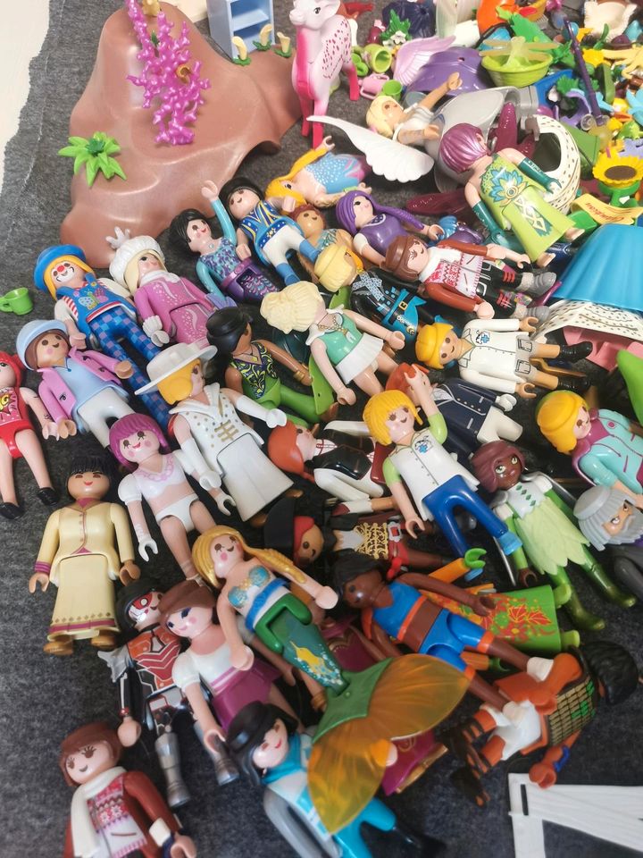 Playmobil Kiste mit vielen Sets, Figuren, Tieren, Zubehör in Gießen