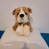 Keel Toys Buster Kleine Bulldogge Wandsbek - Steilshoop Vorschau