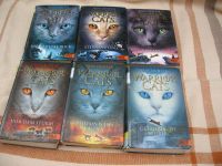 Erin Hunter, Warrior Cats, 6 Bücher gebunden Sachsen-Anhalt - Weißenfels Vorschau