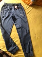 Puma Hose Jogging Training warm dick Herbst Gr.S grau Nordrhein-Westfalen - Hagen Vorschau