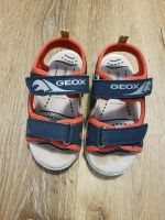 Geox Sandalen Gr 25 Hessen - Niddatal Vorschau