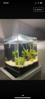 Nano Aquarium Baden-Württemberg - Nürtingen Vorschau