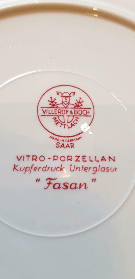 Teller Vitro-Porzellan Villeroy & Boch Kupferdruck Fasan (8) in Dallgow