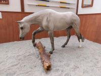 Modellpferd Resin Acquiesce , classic Stock Horse Stute Niedersachsen - Nienstädt Vorschau