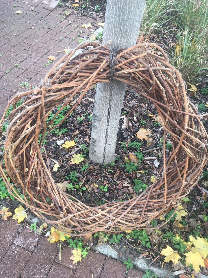 XXL Rebenkranz  Riesen Deko Kranz  Weidenkranz  80 cm Durchm. in Geisenheim