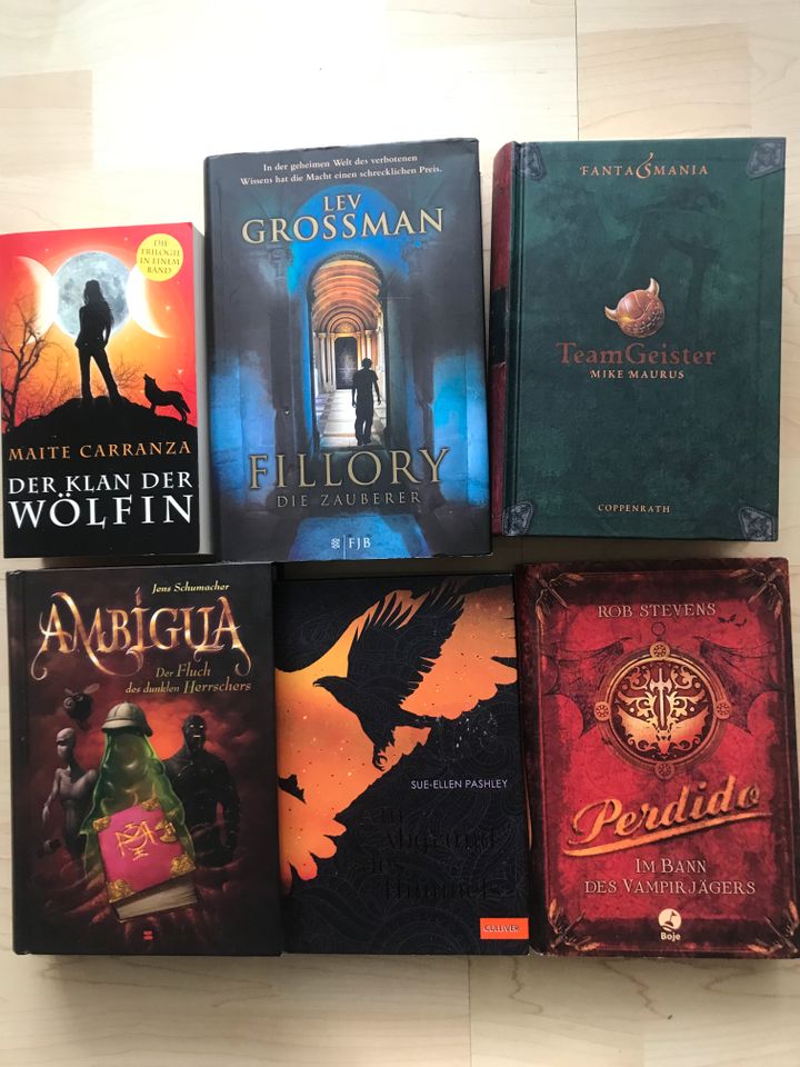 Fantasy Romane Paket Sammlung Bücher in Konstanz