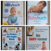 Die Baby Formel, so fördere ich mein Kind,  Babybuch Brandenburg - Königs Wusterhausen Vorschau