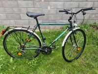 STARWAY Herren-Fahrrad 28 Zoll mit 21 Gangschaltung Rheinland-Pfalz - Wittlich Vorschau