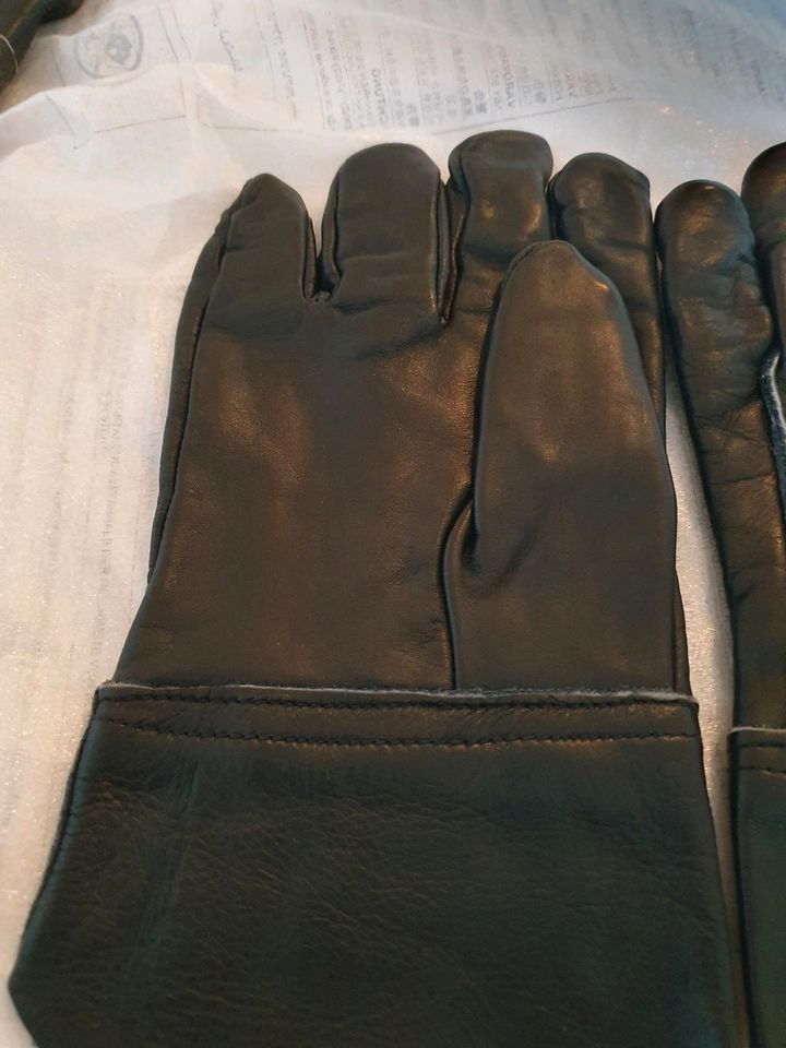 Leder Handschuhe in Kalbe (Milde)