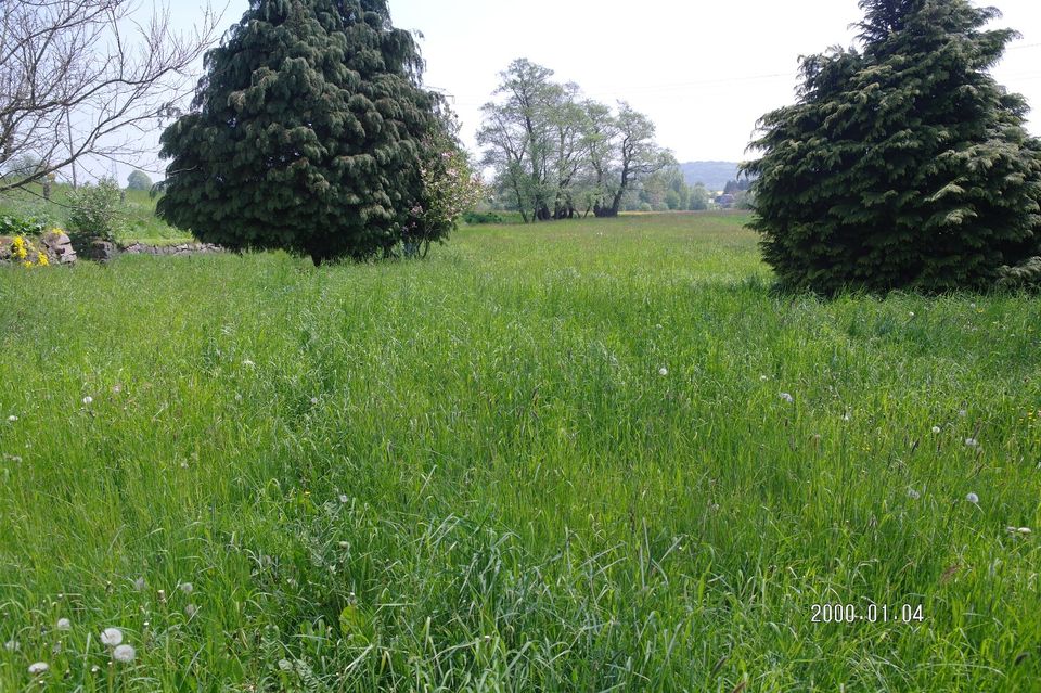 Wohnhaus Bauernhof mit Scheune Mühle Nebengebäuden  Land Wiese in Putzkau